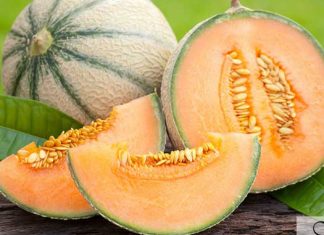 JEDITE DINJU U ŠTO VEĆIM KOLIČINAMA: EVO KOJIH 7 PROBLEMA LEČI OVA NAMIRNICA JEDITE DINJU U ŠTO VEĆIM KOLIČINAMA: EVO KOJIH 7 PROBLEMA LEČI OVA NAMIRNICA - featured image