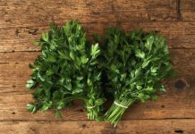 PERŠUN – Tajna kuhara kako da traje mjesecima: Više ne trune PERŠUN – Tajna kuhara kako da traje mjesecima: Više ne trune - featured image