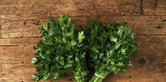 PERŠUN – Tajna kuhara kako da traje mjesecima: Više ne trune PERŠUN – Tajna kuhara kako da traje mjesecima: Više ne trune - featured image