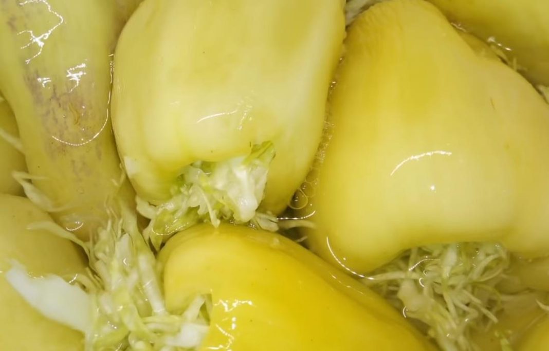 Turšijske paprike punjene kupusom, bez konzervansa i sirćeta: Od sada ćete ih praviti svake godine! (RECEPT) - featured image Turšijske paprike punjene kupusom, bez konzervansa i sirćeta: Od sada ćete ih praviti svake godine! (RECEPT) - featured image