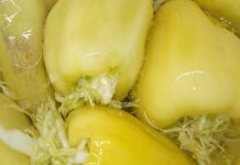 Turšijske paprike punjene kupusom, bez konzervansa i sirćeta: Od sada ćete ih praviti svake godine! (RECEPT) Turšijske paprike punjene kupusom, bez konzervansa i sirćeta: Od sada ćete ih praviti svake godine! (RECEPT) - featured image