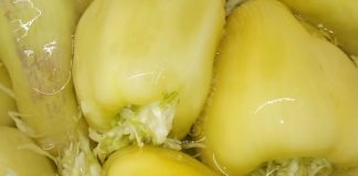 Turšijske paprike punjene kupusom, bez konzervansa i sirćeta: Od sada ćete ih praviti svake godine! (RECEPT) Turšijske paprike punjene kupusom, bez konzervansa i sirćeta: Od sada ćete ih praviti svake godine! (RECEPT) - featured image