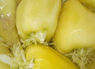 Turšijske paprike punjene kupusom, bez konzervansa i sirćeta: Od sada ćete ih praviti svake godine! (RECEPT) Turšijske paprike punjene kupusom, bez konzervansa i sirćeta: Od sada ćete ih praviti svake godine! (RECEPT) - featured image