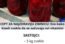 RECEPT ZA NAJZDRAVIJU ZIMNICU: Evo kako se kiseli cvekla da se sačuvaju svi vitamini RECEPT ZA NAJZDRAVIJU ZIMNICU: Evo kako se kiseli cvekla da se sačuvaju svi vitamini - featured image