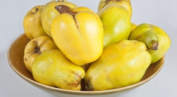 NAŠI RODITELJI SU IH ČUVALI U ORMARU: Znali su za recepte i s njima liječili mnoge tegobe - featured image NAŠI RODITELJI SU IH ČUVALI U ORMARU: Znali su za recepte i s njima liječili mnoge tegobe - featured image