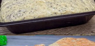 SAMO VODA I BRAŠNO!! Baka me naučila da pečem nemački hleb. Hleb bez mesenja, lako i jeftino! SAMO VODA I BRAŠNO!! Baka me naučila da pečem nemački hleb. Hleb bez mesenja, lako i jeftino! - featured image