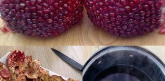 Skrivena moć kore nara: 10 zdravstvenih prednosti i kako je koristiti Skrivena moć kore nara: 10 zdravstvenih prednosti i kako je koristiti - featured image