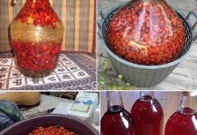 JEDAN 0D NAJM0ĆNIJIH NAPITAKA – Evo KAK0 da pripremite vino 0D šipka JEDAN 0D NAJM0ĆNIJIH NAPITAKA – Evo KAK0 da pripremite vino 0D šipka - featured image