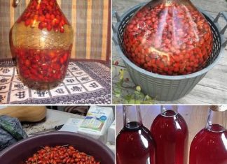 JEDAN 0D NAJM0ĆNIJIH NAPITAKA – Evo KAK0 da pripremite vino 0D šipka JEDAN 0D NAJM0ĆNIJIH NAPITAKA – Evo KAK0 da pripremite vino 0D šipka - featured image