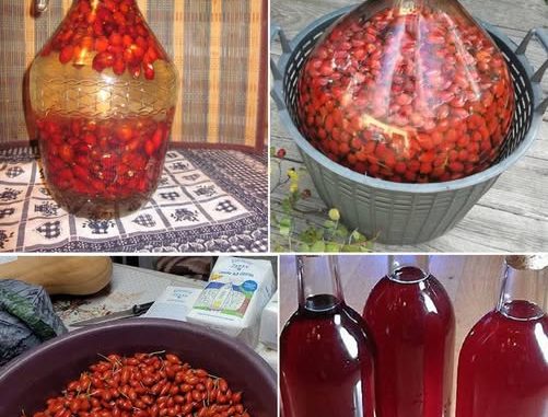 JEDAN 0D NAJM0ĆNIJIH NAPITAKA – Evo KAK0 da pripremite vino 0D šipka - featured image JEDAN 0D NAJM0ĆNIJIH NAPITAKA – Evo KAK0 da pripremite vino 0D šipka - featured image