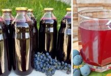 HLADNO CIJEĐENI SOK OD GROŽĐA, BEZ KONZERVANSA: Ovaj domaći napitak je čisto zdravlje! HLADNO CIJEĐENI SOK OD GROŽĐA, BEZ KONZERVANSA: Ovaj domaći napitak je čisto zdravlje! - featured image