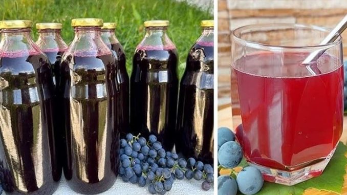 HLADNO CIJEĐENI SOK OD GROŽĐA, BEZ KONZERVANSA: Ovaj domaći napitak je čisto zdravlje! - featured image HLADNO CIJEĐENI SOK OD GROŽĐA, BEZ KONZERVANSA: Ovaj domaći napitak je čisto zdravlje! - featured image