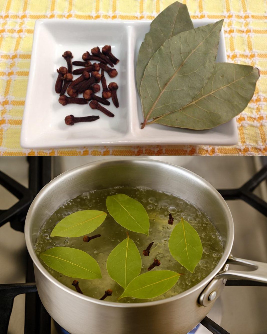 Pogledajte zašto su naši preci koristili prokuhani lovorov list kao prirodni lijek za brojne tegobe! - featured image