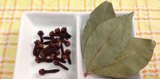 Pogledajte zašto su naši preci koristili prokuhani lovorov list kao prirodni lijek za brojne tegobe! Pogledajte zašto su naši preci koristili prokuhani lovorov list kao prirodni lijek za brojne tegobe! - featured image