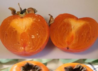 VOĆE PUNO VITAMINA KOJE ČUVA SRCE ❤️ I SNIŽAVA KISELOST KRVI! PROBAJTE GA ODMAH! VOĆE PUNO VITAMINA KOJE ČUVA SRCE ❤️ I SNIŽAVA KISELOST KRVI! PROBAJTE GA ODMAH! - featured image