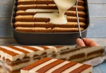 🍪 NEMA PEČENJA: KOLAČ OD KEKSA S VANILIJA PUDINGOM Hladan do savršenstva, poslastica koja se ne peče i toliko je ukusna da je idealna za svaku priliku 🍪 NEMA PEČENJA: KOLAČ OD KEKSA S VANILIJA PUDINGOM Hladan do savršenstva, poslastica koja se ne peče i toliko je ukusna da je idealna za svaku priliku - featured image