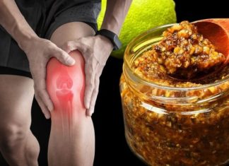 ZA REGENERACIJU ZGLOBOVA I JAKE KOSTI! – ovo prirodno obnavlja hrskavicu✨ ZA REGENERACIJU ZGLOBOVA I JAKE KOSTI! – ovo prirodno obnavlja hrskavicu✨ - featured image