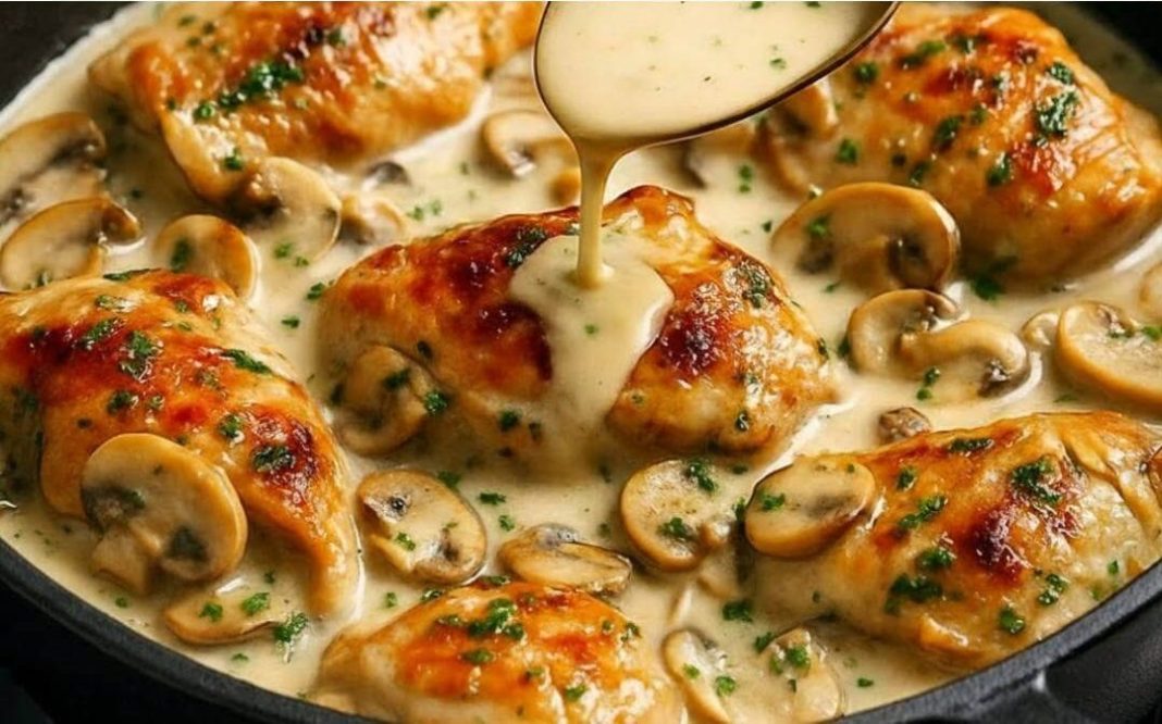 KREMASTA PILETINA SA GLJIVAMA 🍄🍗 sočna, brza i nevjerovatno ukusna – restoran-kvalitet u jednoj tavi! - featured image KREMASTA PILETINA SA GLJIVAMA 🍄🍗 sočna, brza i nevjerovatno ukusna – restoran-kvalitet u jednoj tavi! - featured image