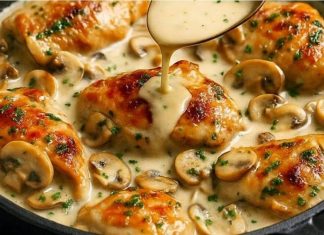 KREMASTA PILETINA SA GLJIVAMA 🍄🍗 sočna, brza i nevjerovatno ukusna – restoran-kvalitet u jednoj tavi! KREMASTA PILETINA SA GLJIVAMA 🍄🍗 sočna, brza i nevjerovatno ukusna – restoran-kvalitet u jednoj tavi! - featured image