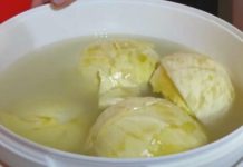 DOMAĆICA OTKRILA KAKO DA VAM SE KISELI KUPUS NE POKVARI: Caka nije RASO, nego ova TEHNIKA u BURETU DOMAĆICA OTKRILA KAKO DA VAM SE KISELI KUPUS NE POKVARI: Caka nije RASO, nego ova TEHNIKA u BURETU - featured image