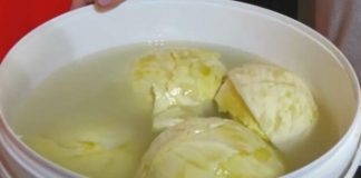 DOMAĆICA OTKRILA KAKO DA VAM SE KISELI KUPUS NE POKVARI: Caka nije RASO, nego ova TEHNIKA u BURETU DOMAĆICA OTKRILA KAKO DA VAM SE KISELI KUPUS NE POKVARI: Caka nije RASO, nego ova TEHNIKA u BURETU - featured image