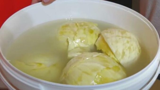 DOMAĆICA OTKRILA KAKO DA VAM SE KISELI KUPUS NE POKVARI: Caka nije RASO, nego ova TEHNIKA u BURETU - featured image DOMAĆICA OTKRILA KAKO DA VAM SE KISELI KUPUS NE POKVARI: Caka nije RASO, nego ova TEHNIKA u BURETU - featured image