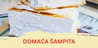 PRAVA D0MAĆA ŠAMPITA PRAVA D0MAĆA ŠAMPITA - featured image