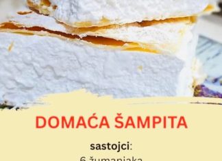 PRAVA D0MAĆA ŠAMPITA PRAVA D0MAĆA ŠAMPITA - featured image