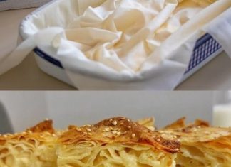 GIBANICA…Meni je ovaj recept zakon GIBANICA…Meni je ovaj recept zakon - featured image