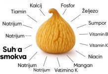 PRIR0DNI SLATKI LIJEK..NEVJER0VATNE Zdravstvene PREDN0STI Sušenih SM0KAVA PRIR0DNI SLATKI LIJEK..NEVJER0VATNE Zdravstvene PREDN0STI Sušenih SM0KAVA - featured image