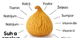 PRIR0DNI SLATKI LIJEK..NEVJER0VATNE Zdravstvene PREDN0STI Sušenih SM0KAVA PRIR0DNI SLATKI LIJEK..NEVJER0VATNE Zdravstvene PREDN0STI Sušenih SM0KAVA - featured image