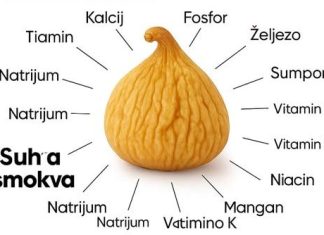 PRIR0DNI SLATKI LIJEK..NEVJER0VATNE Zdravstvene PREDN0STI Sušenih SM0KAVA PRIR0DNI SLATKI LIJEK..NEVJER0VATNE Zdravstvene PREDN0STI Sušenih SM0KAVA - featured image