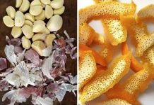 KORA KOJA ČISTI SVE ŠTO STE JELI CIJELI ŽIVOT 🌿✨ – pomaže kod dijabetesa, zamućenog vida, loše cirkulacije u nogama i holesterola! 🙏💫 KORA KOJA ČISTI SVE ŠTO STE JELI CIJELI ŽIVOT 🌿✨ – pomaže kod dijabetesa, zamućenog vida, loše cirkulacije u nogama i holesterola! 🙏💫 - featured image