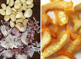 KORA KOJA ČISTI SVE ŠTO STE JELI CIJELI ŽIVOT 🌿✨ – pomaže kod dijabetesa, zamućenog vida, loše cirkulacije u nogama i holesterola! 🙏💫 KORA KOJA ČISTI SVE ŠTO STE JELI CIJELI ŽIVOT 🌿✨ – pomaže kod dijabetesa, zamućenog vida, loše cirkulacije u nogama i holesterola! 🙏💫 - featured image