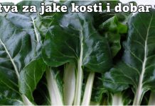 BLITVA ZA JAKE KOSTI I DOBAR VID – SPREMANJE NA DALMATINSKI NAČIN (RECEPTI)!! BLITVA ZA JAKE KOSTI I DOBAR VID – SPREMANJE NA DALMATINSKI NAČIN (RECEPTI)!! - featured image