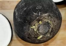 LIJEK ZA ISKAŠLJAVANJE ŠLAJMA: EVO KAKO DA IZBACITE ŠLAJM IZ GRLA I PLUĆA TE SEKRET IZ SINUSA…! LIJEK ZA ISKAŠLJAVANJE ŠLAJMA: EVO KAKO DA IZBACITE ŠLAJM IZ GRLA I PLUĆA TE SEKRET IZ SINUSA…! - featured image