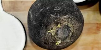 LIJEK ZA ISKAŠLJAVANJE ŠLAJMA: EVO KAKO DA IZBACITE ŠLAJM IZ GRLA I PLUĆA TE SEKRET IZ SINUSA…! LIJEK ZA ISKAŠLJAVANJE ŠLAJMA: EVO KAKO DA IZBACITE ŠLAJM IZ GRLA I PLUĆA TE SEKRET IZ SINUSA…! - featured image