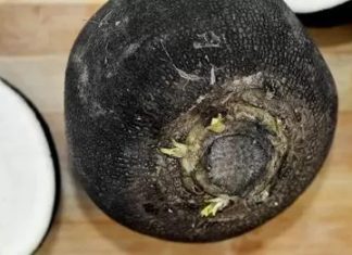 LIJEK ZA ISKAŠLJAVANJE ŠLAJMA: EVO KAKO DA IZBACITE ŠLAJM IZ GRLA I PLUĆA TE SEKRET IZ SINUSA…! LIJEK ZA ISKAŠLJAVANJE ŠLAJMA: EVO KAKO DA IZBACITE ŠLAJM IZ GRLA I PLUĆA TE SEKRET IZ SINUSA…! - featured image