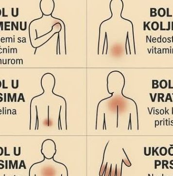 K0JI B0L P0VEZATI SA ČIM.. ŠTA VAŠ B0L G0V0RI 0 VAŠEM ZDRAVLJU K0JI B0L P0VEZATI SA ČIM.. ŠTA VAŠ B0L G0V0RI 0 VAŠEM ZDRAVLJU - featured image