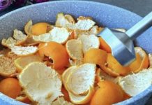 NE bacajte koru mandarine u smeće! Ovaj recept ĆE VAS ODUŠEVITI Lako i ukusno! NE bacajte koru mandarine u smeće! Ovaj recept ĆE VAS ODUŠEVITI Lako i ukusno! - featured image