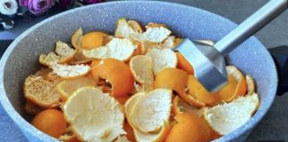 NE bacajte koru mandarine u smeće! Ovaj recept ĆE VAS ODUŠEVITI Lako i ukusno! NE bacajte koru mandarine u smeće! Ovaj recept ĆE VAS ODUŠEVITI Lako i ukusno! - featured image
