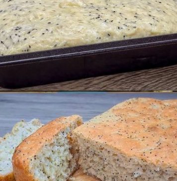 SAMO VODA I BRAŠNO!! Baka me naučila da pečem nemački hleb. Hleb bez mesenja, lako i jeftino! SAMO VODA I BRAŠNO!! Baka me naučila da pečem nemački hleb. Hleb bez mesenja, lako i jeftino! - featured image