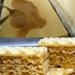 STARINSKA OBLANDA SA MLEKOM I ORASIMA – Karamel oblanda – Savršena poslastica sa samo 3 sastojka! STARINSKA OBLANDA SA MLEKOM I ORASIMA – Karamel oblanda – Savršena poslastica sa samo 3 sastojka! - featured image