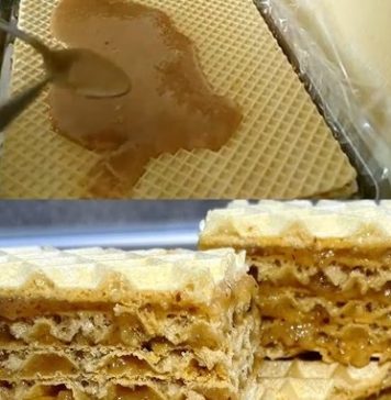 STARINSKA OBLANDA SA MLEKOM I ORASIMA – Karamel oblanda – Savršena poslastica sa samo 3 sastojka! STARINSKA OBLANDA SA MLEKOM I ORASIMA – Karamel oblanda – Savršena poslastica sa samo 3 sastojka! - featured image