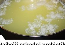 NAJBOLJI PRIRODNI PROBIOTIK:Čisti jetru,creva,pluća i topi višak kilograma! NAJBOLJI PRIRODNI PROBIOTIK:Čisti jetru,creva,pluća i topi višak kilograma! - featured image