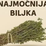 Najmoćnije bilje koje uništavaju parazite, infekcije urinarnog trakta I mjehura, herpesa I viruse gripe! Najmoćnije bilje koje uništavaju parazite, infekcije urinarnog trakta I mjehura, herpesa I viruse gripe! - featured image