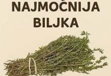 Najmoćnije bilje koje uništavaju parazite, infekcije urinarnog trakta I mjehura, herpesa I viruse gripe! Najmoćnije bilje koje uništavaju parazite, infekcije urinarnog trakta I mjehura, herpesa I viruse gripe! - featured image