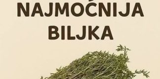 Najmoćnije bilje koje uništavaju parazite, infekcije urinarnog trakta I mjehura, herpesa I viruse gripe! Najmoćnije bilje koje uništavaju parazite, infekcije urinarnog trakta I mjehura, herpesa I viruse gripe! - featured image