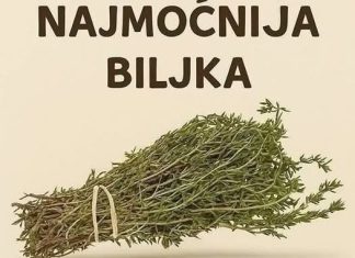 Najmoćnije bilje koje uništavaju parazite, infekcije urinarnog trakta I mjehura, herpesa I viruse gripe! Najmoćnije bilje koje uništavaju parazite, infekcije urinarnog trakta I mjehura, herpesa I viruse gripe! - featured image