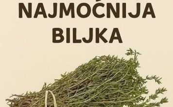 Najmoćnije bilje koje uništavaju parazite, infekcije urinarnog trakta I mjehura, herpesa I viruse gripe! Najmoćnije bilje koje uništavaju parazite, infekcije urinarnog trakta I mjehura, herpesa I viruse gripe! - featured image